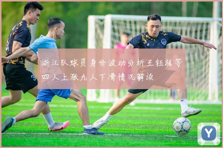 浙江队球员身价波动分析王钰栋等四人上涨九人下滑情况解读